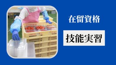 在留資格「技能実習」とは？