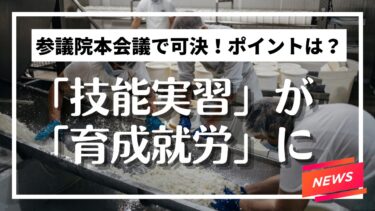 「技能実習」が「育成就労」に 新制度のポイントとその影響